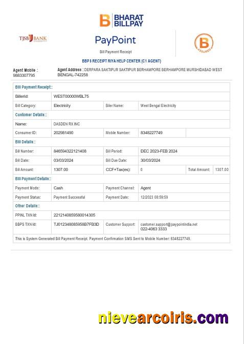 INDIA WEST BENGAL ELECTRICITY business utility bill